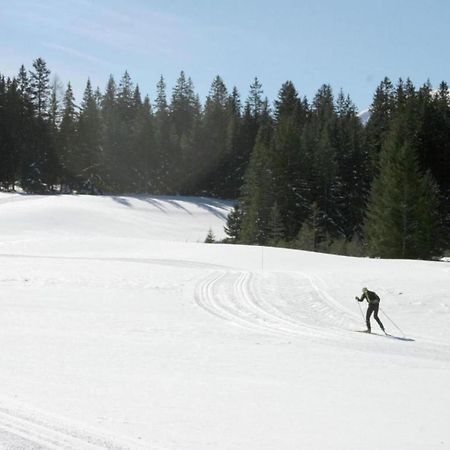 Chalet In Hohentauern Near Ski Area With Sauna ภายนอก รูปภาพ
