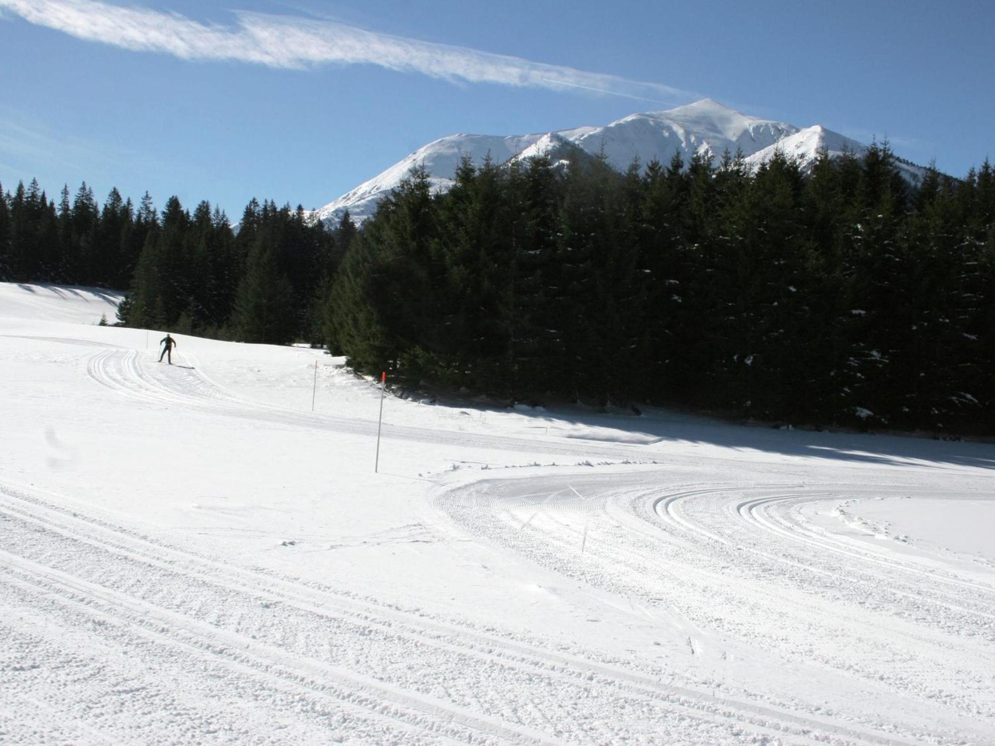 Chalet In Hohentauern Near Ski Area With Sauna ภายนอก รูปภาพ